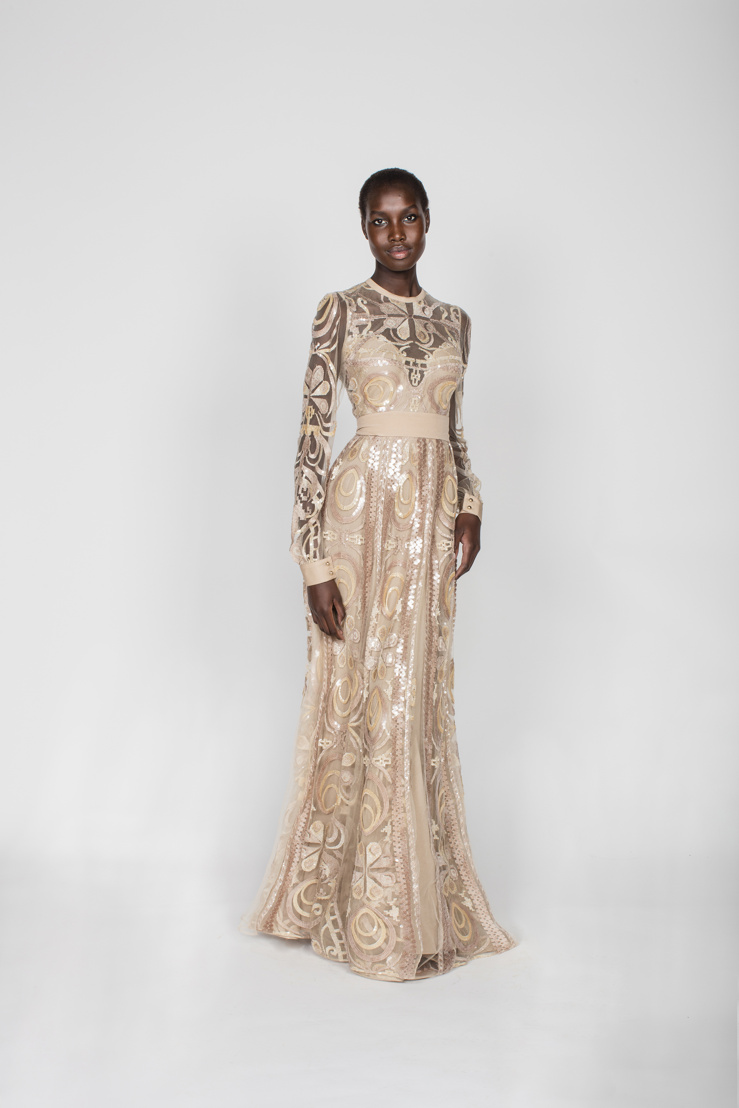 Elie Saab Sahara Taupe Long Sleeve Gown ...